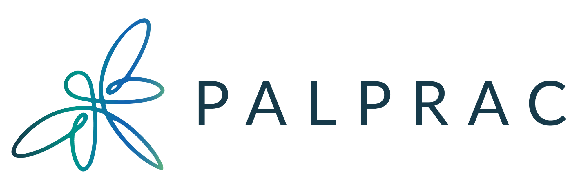 CP 19 - PALPRAC